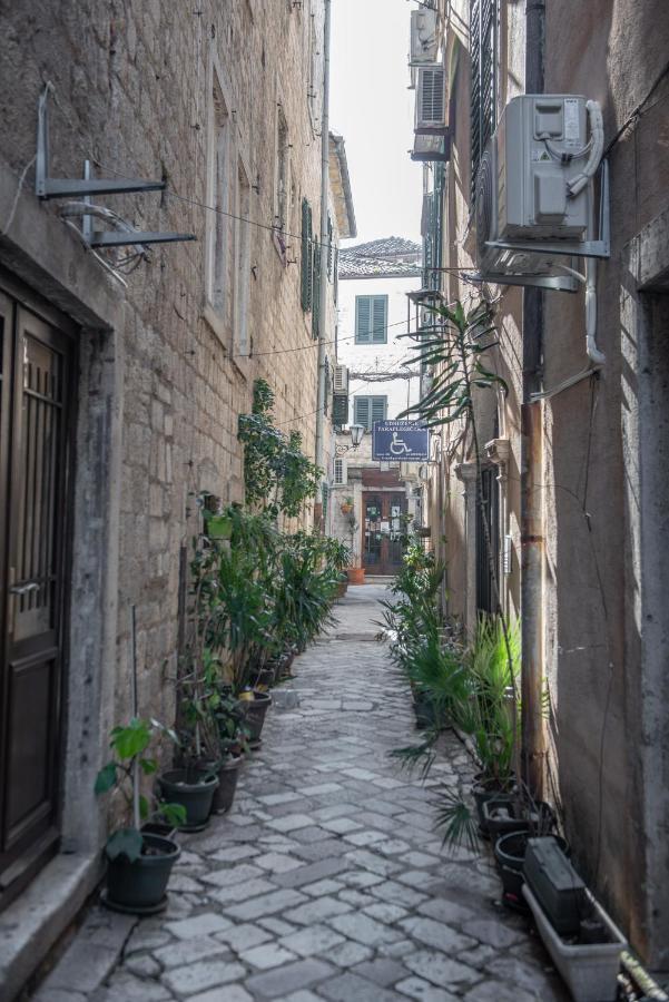 Sasha Di Cattaro - Old Town Lux Apartment Eksteriør bilde